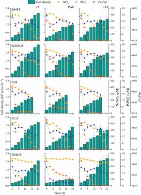 Diarrhetic shellfish toxins production appears to be driven by photosynthesis and phosphate–revealed by different light-adapted strains of Prorocentrum lima complex and P. caipirignum